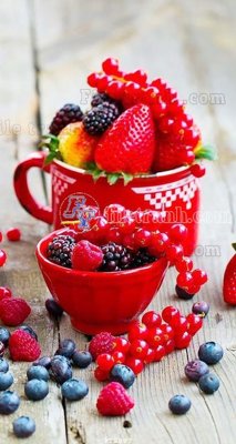 File tranh File psd tường quán cà phê FT2887 (ảnh gốc) in trần xuyên sáng