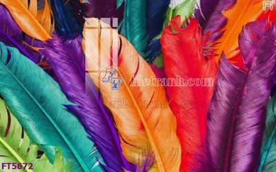 File in mica Filetranh tường nền nhà hàng KTV FT5672 (bản gốc) làm vách ngăn