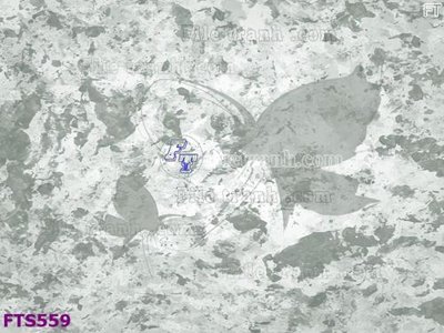 File ảnh gốc File in tranh tường hiện đại FTS559 (chuyên in mica)
