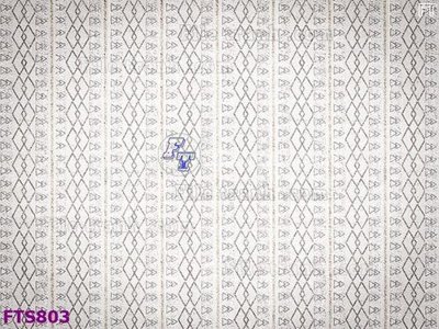 File tranh gốc File in tranh tường hiện đại FTS803 (sắc nét từng chi tiết)