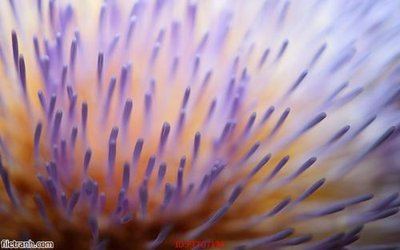 File gốc Tranh tường 3d tối giản hiện đại FTTG7134 (in lụa) hoa văn cổ điển