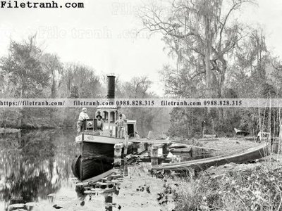 File ảnh Florida Mammoth_ 1890s (gốc) in backdrop sự kiện