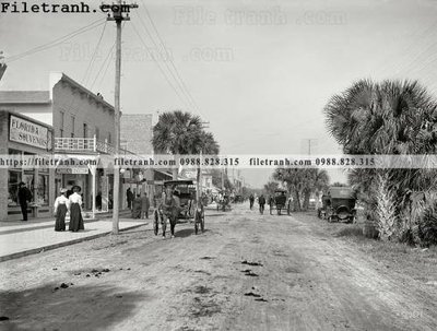 Cung cấp file tranh gốc Florida Souvenirs_ 1906 độc quyền