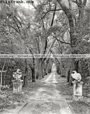 Tệp tin gốc Gorey Manor_ 1939 (chất lượng cao) Gorey Manor_ 1939