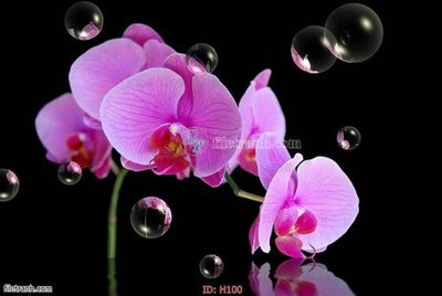 Chi tiết file ảnh file tranh hoa H100 sắc nét