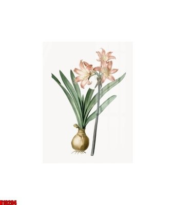 File gốc in mica File tranh gốc in tranh tường nền tổng hợp H10294 chất lượng