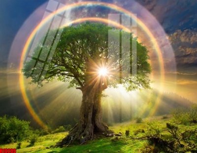 File in ấn File tranh gốc in tranh tường nền tổng hợp H10299 (bản gốc) cao cấp