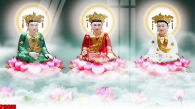 File tranh File tranh gốc in tranh tường nền tổng hợp H10805 (ảnh gốc) không bị mờ