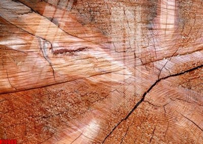 File gốc File tranh gốc in tranh tường nền tổng hợp H10889 (in lụa) hoa văn cổ điển