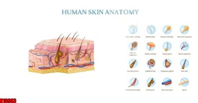 File tranh gốc File tranh gốc in tranh tường nền tổng hợp H10983 (bản quyền) độc đáo