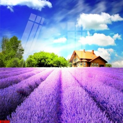 Chi tiết file ảnh File tranh gốc in tranh tường nền tổng hợp H11006 sắc nét