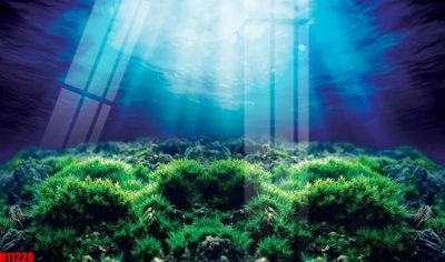 File gốc File tranh gốc in tranh tường nền tổng hợp H11220 (in lụa) trang trí tường