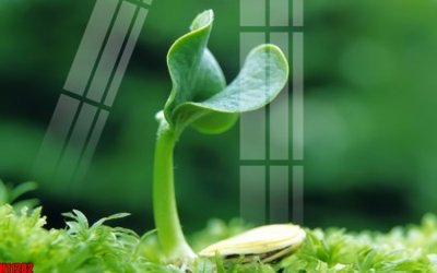 File tranh File tranh gốc in tranh tường nền tổng hợp H11282 (bản gốc) trang trí văn phòng