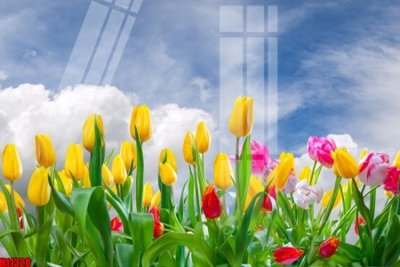 File ảnh gốc File tranh gốc in tranh tường nền tổng hợp H11328 (chuyên in mica)