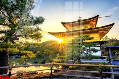 File PSD File tranh gốc in tranh tường nền tổng hợp H11386 (gốc) cho designer