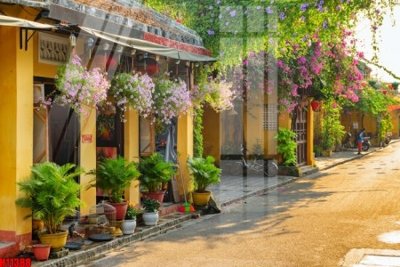 File gốc File tranh gốc in tranh tường nền tổng hợp H11388 (ảnh chi tiết) để in lụa