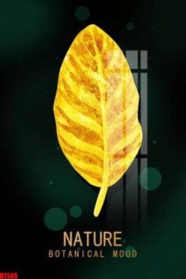 File tranh in tráng gương File tranh decor tranh bộ treo tường tổng hợp H1149 (siêu nét)