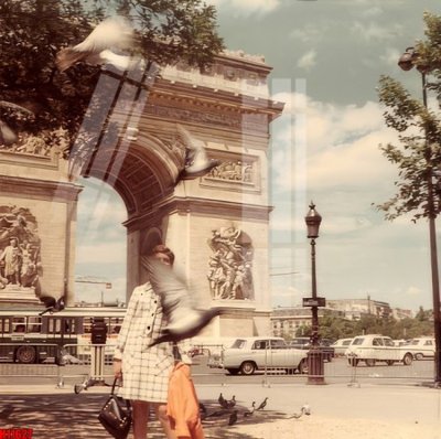 File in lụa File tranh gốc in tranh tường nền tổng hợp H11627 (chất lượng cao) File tranh gốc in tranh tường nền tổng hợp H11627