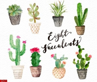 File in ấn File tranh gốc in tranh tường nền tổng hợp H11733 (bản gốc) cao cấp