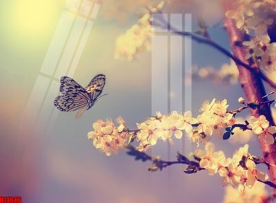 Tải về file gốc File tranh gốc in tranh tường nền tổng hợp H11846 (chuẩn in ấn)