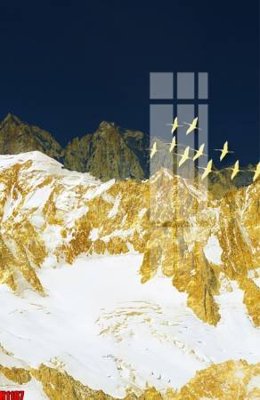 Tải file tranh File tranh decor tranh bộ treo tường tổng hợp H1187 (ảnh gốc) ngay