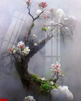 File ảnh File tranh gốc in tranh tường nền tổng hợp H12527 (gốc) in biển hiệu