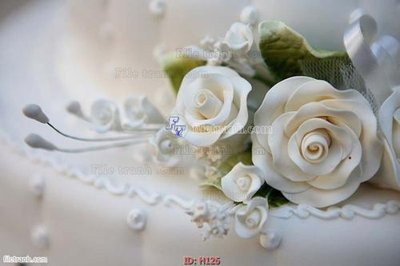 Chi tiết file tranh tráng gương file tranh hoa H126 (ảnh gốc)