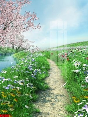 File tranh in trần 3D File tranh gốc in tranh tường nền tổng hợp H12601 (ảnh gốc)