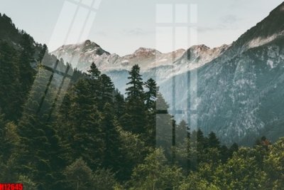 File gốc File tranh gốc in tranh tường nền tổng hợp H12645 (in lụa) chi tiết cao