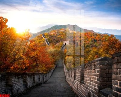 File ảnh File tranh gốc in tranh tường nền tổng hợp H12662 (gốc) in decal dán tường