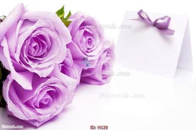 Tải file file tranh hoa H129 (ảnh gốc) in tráng gương