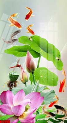 File tranh File tranh gốc in tranh tường nền tổng hợp H12998 (gốc) chủ đề thành phố