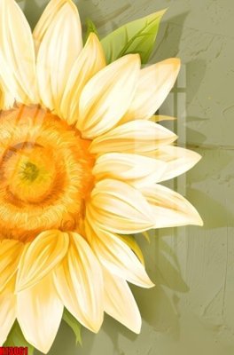 File in trần File tranh gốc in tranh tường nền tổng hợp H13061 (bản gốc) mây trời