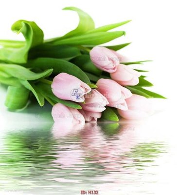 File gốc file tranh hoa H132 (ảnh chi tiết) để in trần