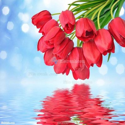 File gốc file tranh hoa H133 (chuẩn màu) cho in offset