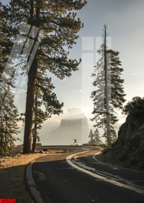 File gốc File tranh gốc in tranh tường nền tổng hợp H13597 (in lụa) hoa văn cổ điển