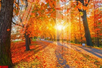 Mua file gốc File tranh gốc in tranh tường nền tổng hợp H13602 (PSD) tại Filetranh.com