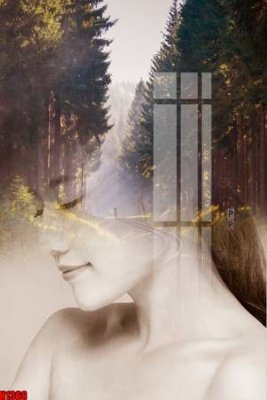 Tải file File tranh decor tranh bộ treo tường tổng hợp H1366 (ảnh gốc) in tranh kính