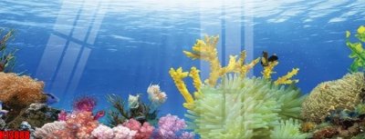 Tải file gốc File tranh gốc in tranh tường nền tổng hợp H13888 (in tráng gương) cao cấpFile gốc File tranh gốc in tranh tường nền tổng hợp H13888 (in ấn) phiên bản độc quyền