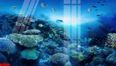 Cung cấp file tranh gốc File tranh gốc in tranh tường nền tổng hợp H13999 độc quyền