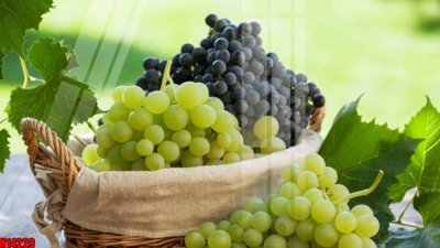 File tranh File tranh gốc in tranh tường nền tổng hợp H14229 (gốc) chủ đề trừu tượng