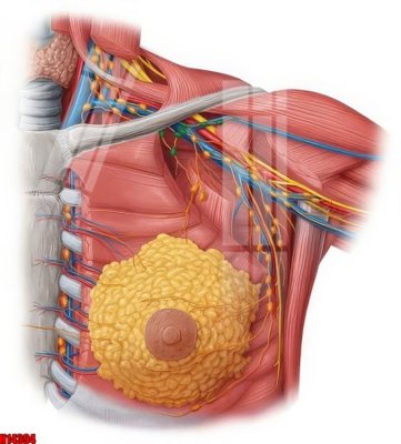 Tải file File tranh gốc in tranh tường nền tổng hợp H14394 (gốc) để in ấn ngay