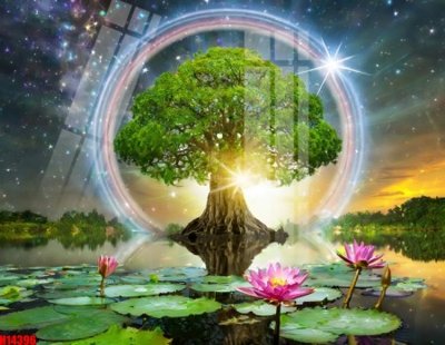 File ảnh File tranh gốc in tranh tường nền tổng hợp H14396 (gốc) in decal dán tường