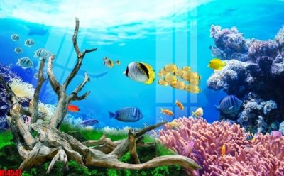 Tải file gốc File tranh gốc in tranh tường nền tổng hợp H14547 (bản PSD) đầy đủ layer