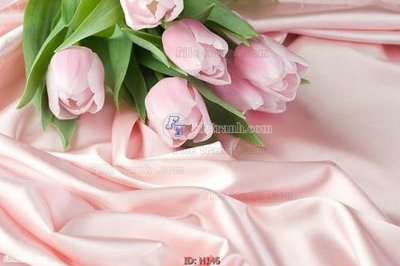 File gốc file tranh hoa H146 (in tráng gương) sang trọng