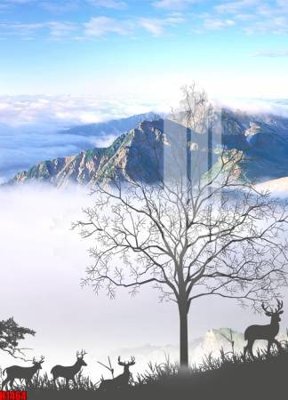 File tranh File tranh decor tranh bộ treo tường tổng hợp H1464 (bản gốc) in lụa 3D