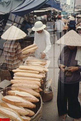 File ảnh File tranh gốc in tranh tường nền tổng hợp H14683 (gốc) in poster