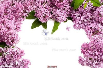 File gốc file tranh hoa H150 (in tráng gương) hiện đại