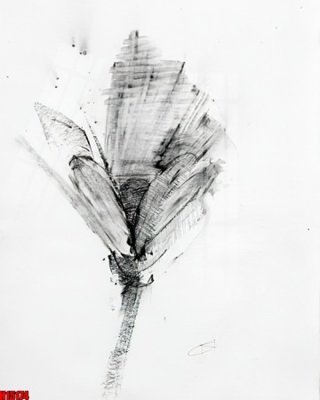 File in lụa File tranh gốc in tranh tường nền tổng hợp H15174 (phong cảnh) File tranh gốc in tranh tường nền tổng hợp H15174