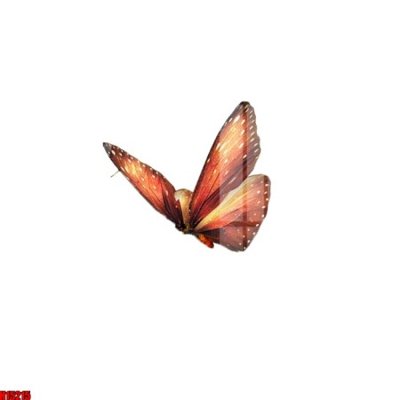 Tải file File tranh gốc in tranh tường nền tổng hợp H15215 (ảnh gốc) in gạch men